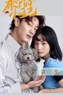 秦爷的小哑妻