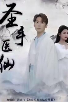 圣手医仙