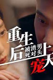 重生后被渣男死对头宠上天