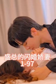 盛总的闪婚娇妻