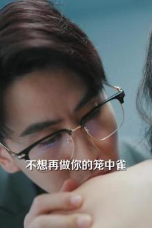 笼中雀