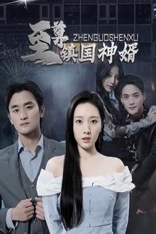 至尊镇国神婿