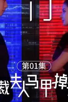 总裁夫人的马甲掉了
