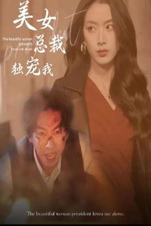 美女总裁独宠我