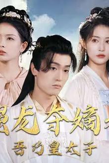 强龙夺嫡之吾乃皇太子