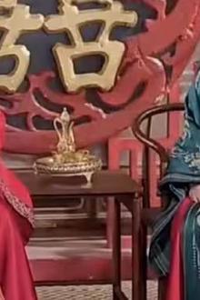 王妃今天休夫了吗
