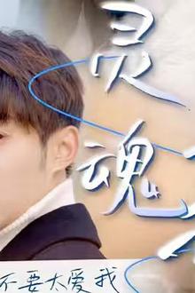 灵魂互换后之叶总不要太爱我