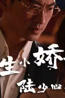 重生小娇妻，陆少心尖宠