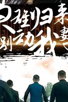 枭雄归来别动我妻女