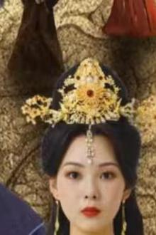 王妃惊华