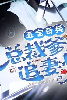 五宝奇兵总裁爹地追妻忙
