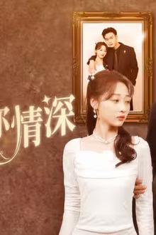 新：此生不负你情深