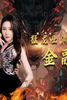 猛龙出渊之金融冥王