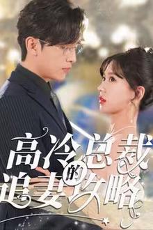 高冷总裁的追妻攻略