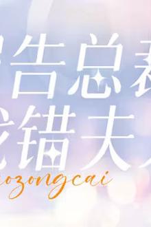 报告总裁您找错夫人了