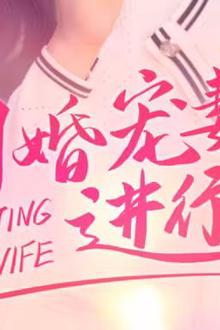 闪婚宠妻进行时（闪婚后，我带憨夫总裁逆袭人生）