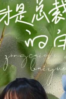 她才是总裁的白月光