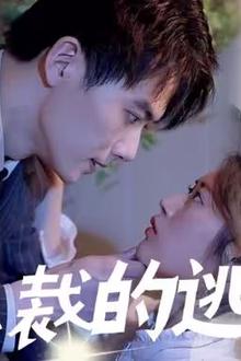 总裁的逃妻