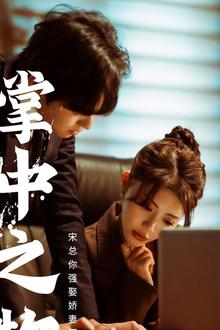 掌中之物：宋总娶娇妻可知错