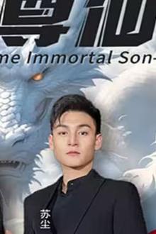 至尊仙婿