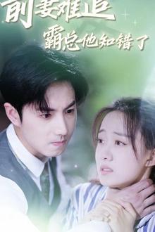 前妻难追，霸总他知错了