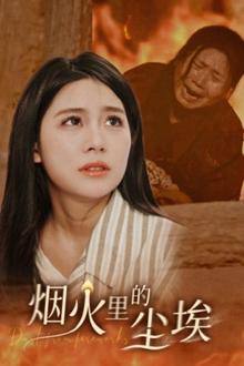 烟火里的尘埃