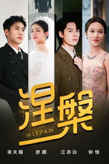 双重生后，江先生宠我上天（涅槃）