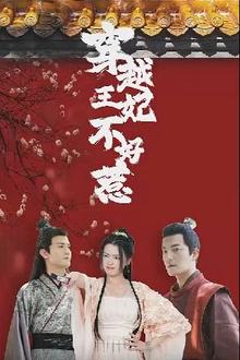 穿越王妃不好惹