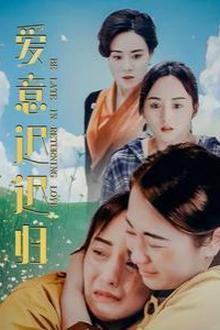 爱意迟迟归