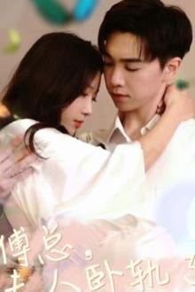 傅总夫人卧轨了