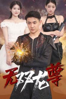 无双龙尊