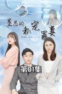 墨总的私宠罪妻