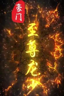 豪门至尊龙少