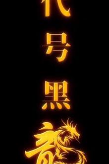 代号黑龙
