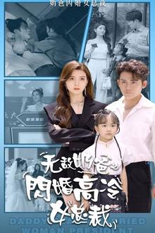 无敌奶爸闪婚高冷女总裁