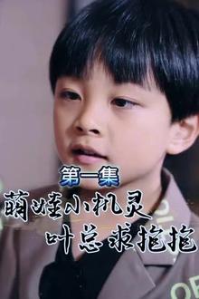萌宝小机灵，叶总求抱抱