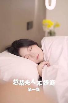 总裁夫人不好追