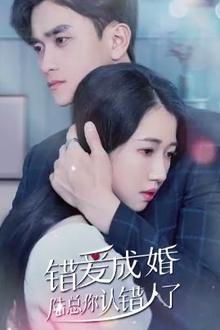错爱成婚：陆总你认错人了
