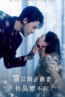 霸总倒追前妻你高攀不起