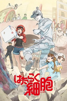 工作细胞 工作细胞