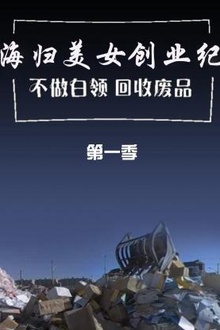 海归美女创业纪 不做白领回收废品第一季