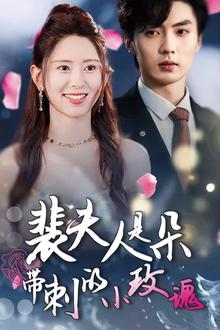 裴夫人是朵带刺的小玫瑰（离婚后前妻惊艳全球）
