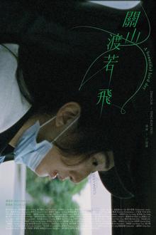 关山度若飞