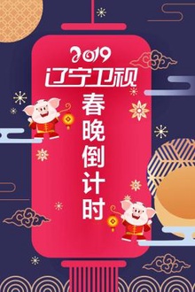 辽宁卫视春晚倒计时2019