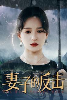新妻子的反击