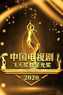 中国电视剧飞天奖暨星光奖2020
