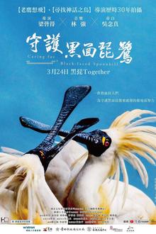 守护黑面琵鹭