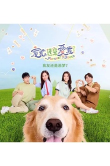 宠他，还是爱我？
