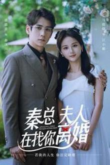 秦总，夫人在找你离婚