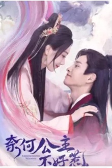 奈何公主不好惹